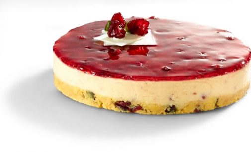 Puratos Deli Cheesecake – A Perfect Cheesecake, Straight from the Pail into the Oven