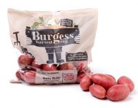 Produce World Launches Consumer-facing Brand