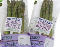 Paragon links with Tesco to create long-life asparagus packs