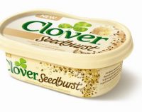 Dairy Crest ‘well placed’ for UK growth following St Hubert disposal