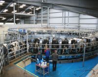 Environmental Report Demonstrates British Dairy Industry is a Global Leader