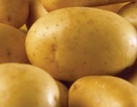 Industry cuts back on British potatoes as prices soar