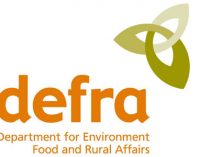 Call For Evidence in Food Supply Chain Review