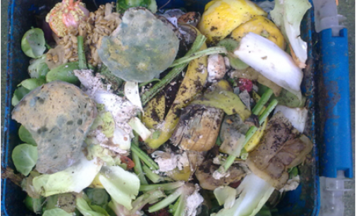 Innovation Can Turn Around Food Waste