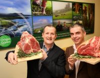 Dawn Meats Wins Irish Sustainability Award