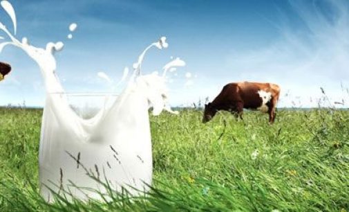 Arla Expects to Serve 25 Billion Glasses of Milk in 2014