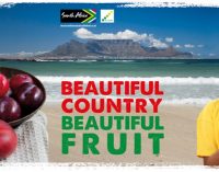 Sixth HORTGRO Promotion to Reinforce Provenance of South African Fruit