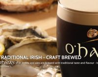 First Irish Micro Brewery Economic Impact Report