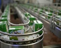 Arla Decides Against Bid For Egyptian Dairy