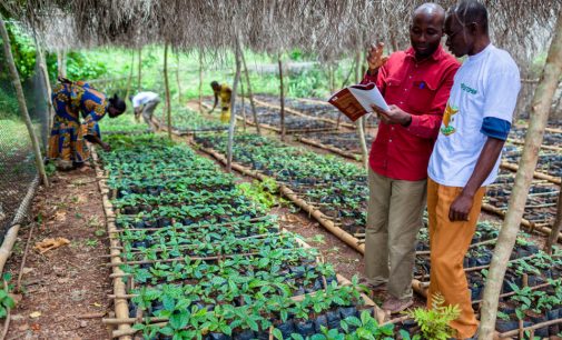 Olam International to Acquire ADM’s Global Cocoa Business for $1.3 Billion