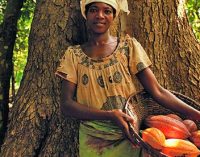 Nestlé Makes Progress on Empowering Women in Cocoa Supply Chain