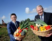 Ballymaguire Foods to Build New Plant