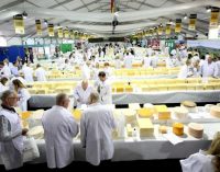 Glanbia Ingredients Ireland Cheddars Win Top Awards at Prestigious Cheese Competition