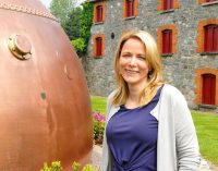 Another Successful Year For Irish Distillers Pernod Ricard