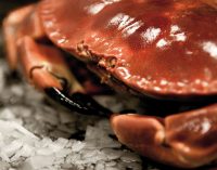 Clearwater Seafoods to Acquire Macduff Shellfish Group