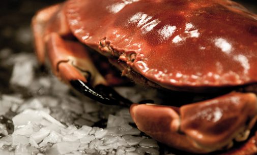 Clearwater Seafoods to Acquire Macduff Shellfish Group