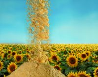 Sternchemie presents broad range of sunflower lecithins