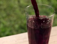 Welch’s Concord Grape Juice to Launch Across Mainland Europe