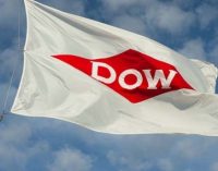 Dow to launch MOR-FREE™ L75-300 High Speed Lamination Adhesive