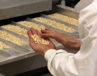 A Cutting-edge Innovation to Boost Oat Exports