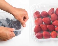 Wellpak launches Ezo Punnet – first resealable punnets for berries