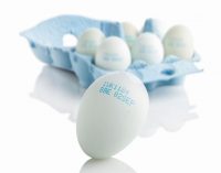 Domino Delivers Optimum Egg Coding Solution