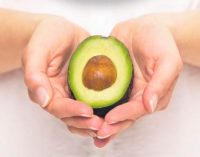 Top Avocado Producing Countries Unite to Launch World Avocado Organization