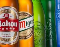 Mahou San Miguel Increases Sales and Profitability For Second Consecutive Year