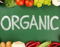 Organic Crop Area on the Rise in the EU