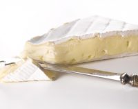 DuPont Nutrition & Health Launches New Cheese Cultures