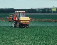 Risk to Consumers of Pesticide Residues in Food Remains Low