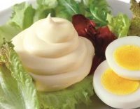 Low-fat Mayonnaise – Hydrosol Develops Integrated Compound Without Starch