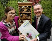 Irish Businesses Urged to Help Save the Bees!