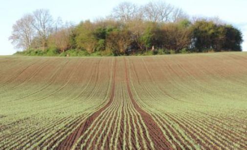 The Origins of Minch Malt