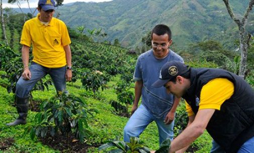 Nespresso to Invest in Post-conflict Colombian Coffee