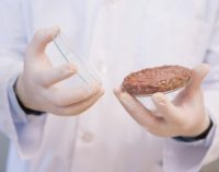 Nearly One in Three Consumers Willing to Eat Lab-grown Meat