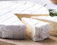 New Starter Culture Secures Mild and Creamy Soft Cheeses