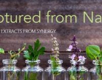 Synergy Flavours Launches ‘Captured From Nature’ Botanical Extracts Range