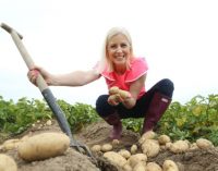 Bord Bia Drive to Make Potatoes More “Insta-friendly” With the Millennial Consumer