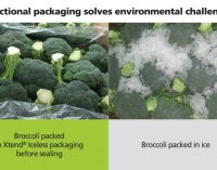 StePac – Taking Broccoli Packaging Out of the Ice Age