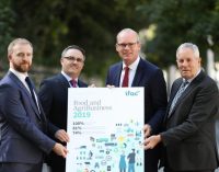 Ifac Launches Irish Food & AgriBusiness Report 2019