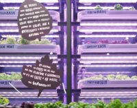 Marks & Spencer Partners Infarm to Bring Urban Farming to London Stores