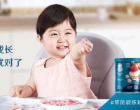 Nestlé Inaugurates its First Gerber Cereal Snacks Plant in China