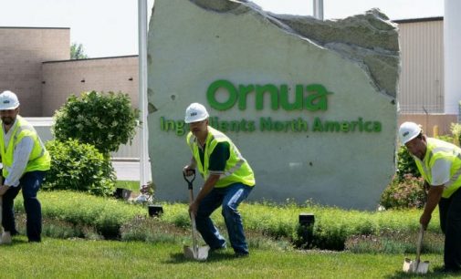 Ornua to Invest $10 Million to Expand US Cheese Ingredients Facility