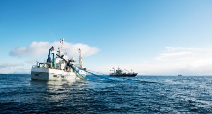 Stable Norwegian Seafood Exports in 2020 Despite the Corona Pandemic