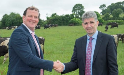 Michael Harte appointed as new Dairygold Chief Executive