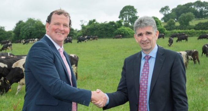 Michael Harte appointed as new Dairygold Chief Executive