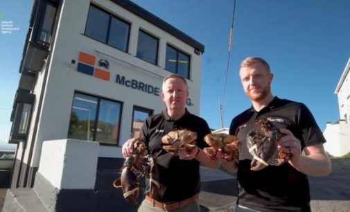 Donegal fishing company named Seafood Exporter of the Year