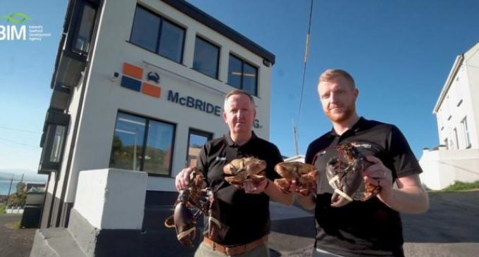 Donegal fishing company named Seafood Exporter of the Year